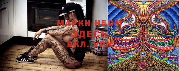 spice Инсар