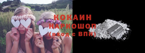 spice Инсар
